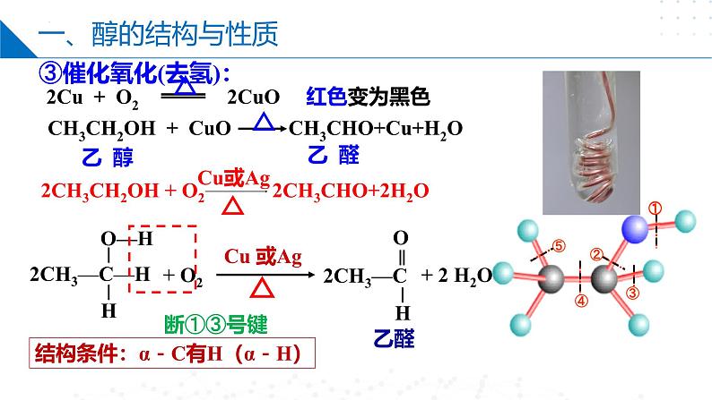 苏教版2019高二化学选择性必修三 第4章++生活中常用的有机物——烃的含氧衍生物（同步课件）08