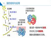 苏教版2019高二化学选择性必修三 5.2胺和酰胺（同步课件）