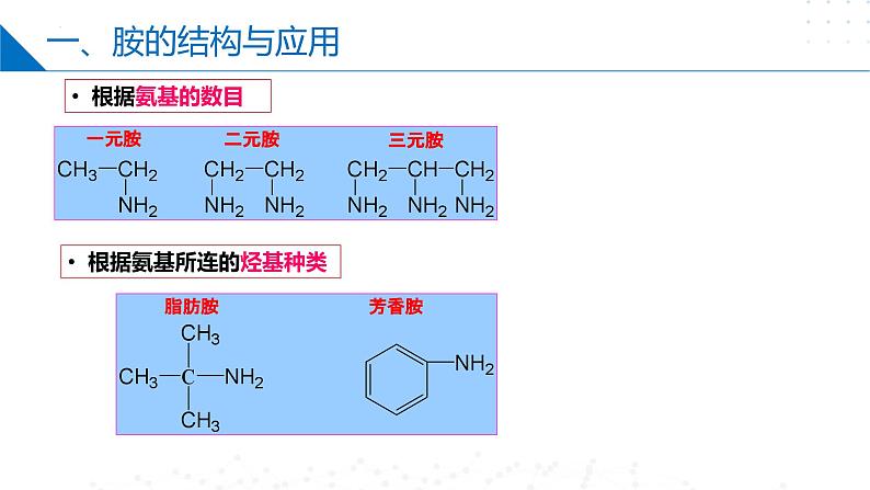 苏教版2019高二化学选择性必修三 5.2胺和酰胺（同步课件）08