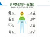 苏教版2019高二化学选择性必修三 6.2蛋白质（同步课件）