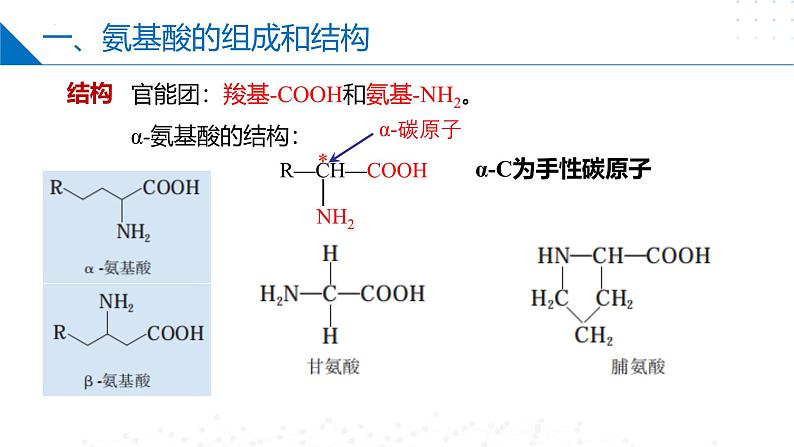 苏教版2019高二化学选择性必修三 6.2蛋白质（同步课件）第6页