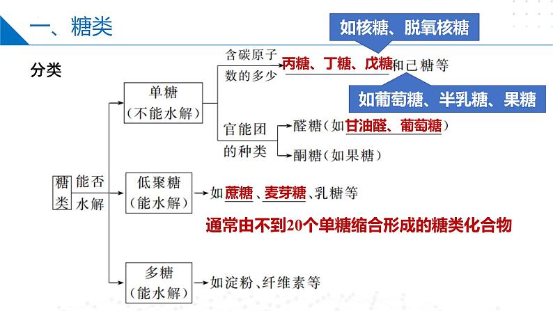 苏教版2019高二化学选择性必修三 第6章++生命活动的物质基础——糖类、油脂、蛋白质（同步课件）05