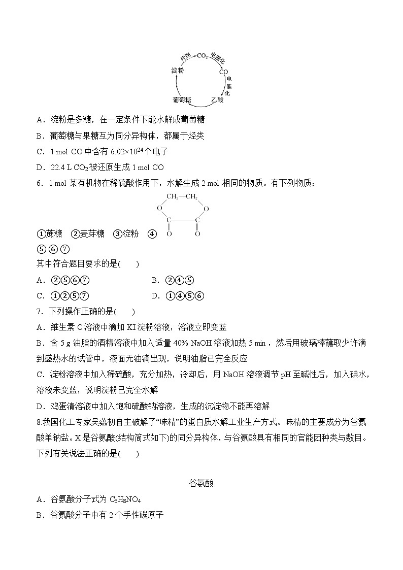 苏教版2019高二化学选择性必修三 第6章++生命活动的物质基础——糖类、油脂、蛋白质（单元测试）02