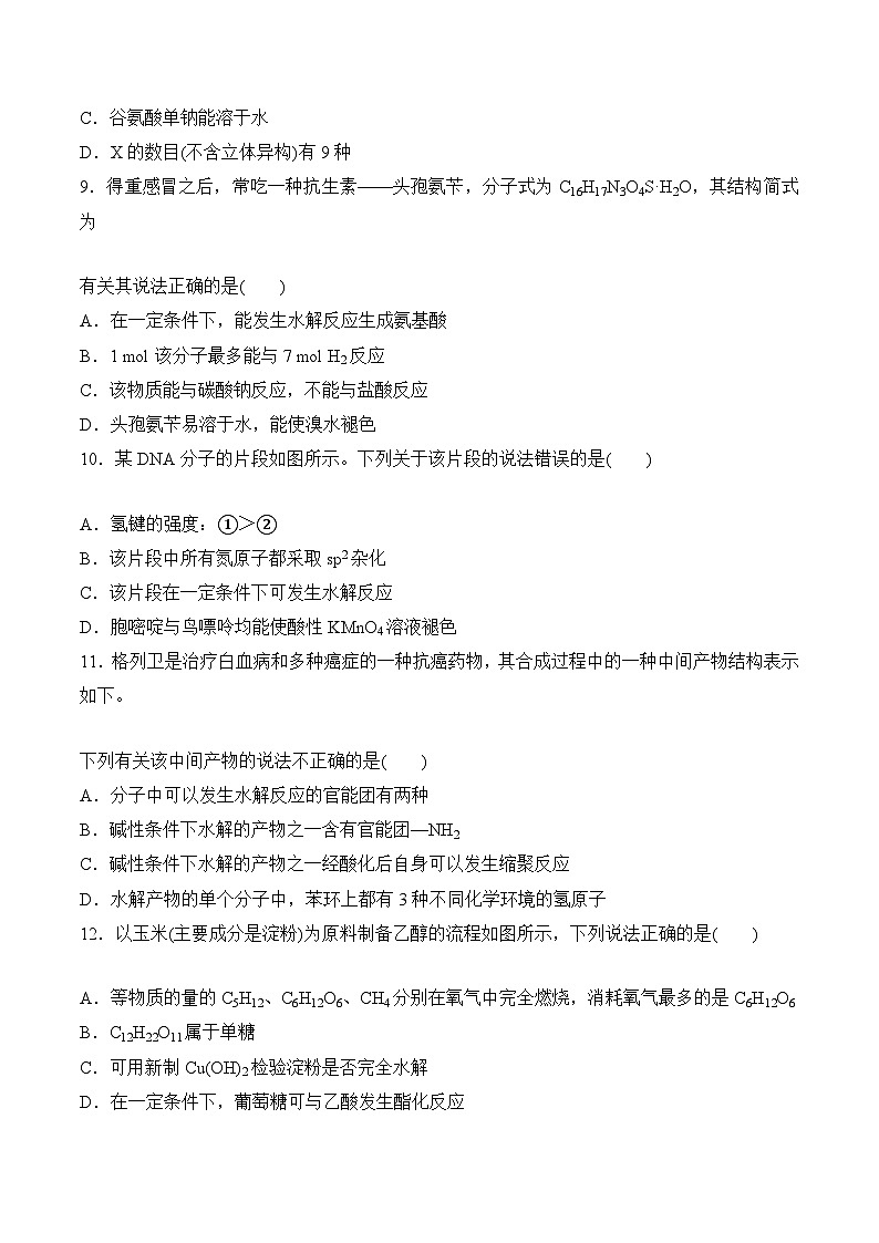 苏教版2019高二化学选择性必修三 第6章++生命活动的物质基础——糖类、油脂、蛋白质（单元测试）03