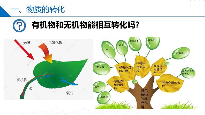 苏教版2019高一化学必修第一册1.1.2物质的转化及化学反应的分类（同步课件）07