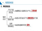 苏教版2019高一化学必修第一册 2.1.2物质的检验、物质性质和变化的探究（同步课件）
