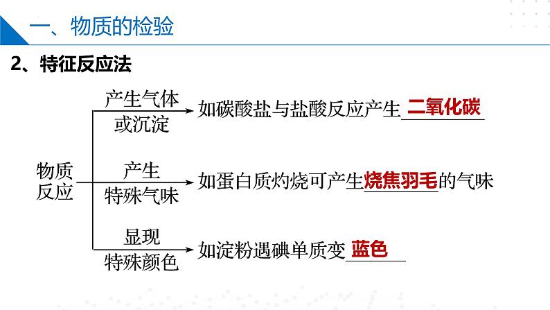 苏教版2019高一化学必修第一册 2.1.2物质的检验、物质性质和变化的探究（同步课件）05