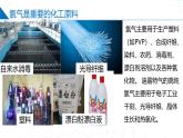 苏教版2019高一化学必修第一册 3.1.1 氯气的发现与制备（同步课件）