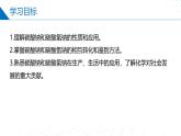 苏教版2019高一化学必修第一册 3.2.2 碳酸钠+碳酸氢钠（同步课件）