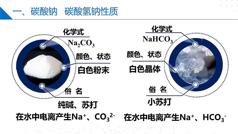 苏教版2019高一化学必修第一册 3.2.2 碳酸钠+碳酸氢钠（同步课件）05