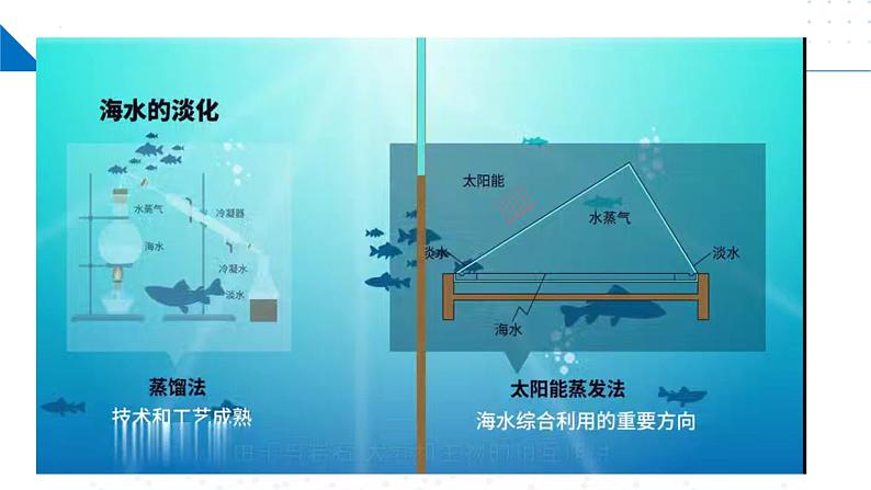 苏教版2019高一化学必修第一册 3.3海洋化学资源的综合利用（同步课件）03