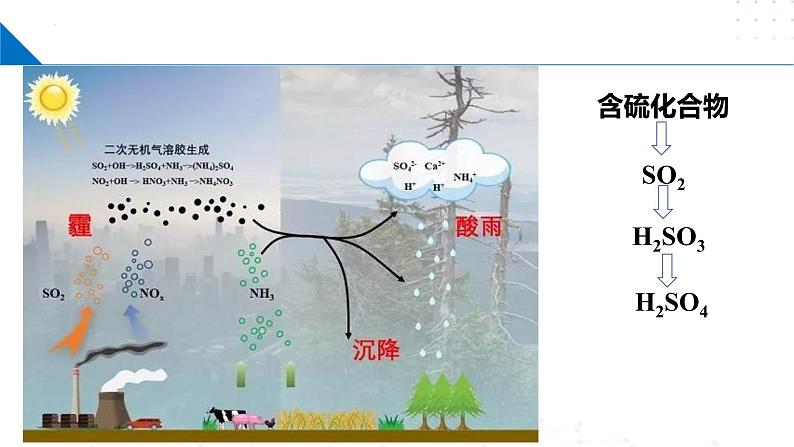 苏教版2019高一化学必修第一册 4.2 硫及其化合物之间的相互转化（同步课件）04