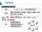 苏教版2019高一化学必修第一册 5.1.3同主族元素性质（同步课件）