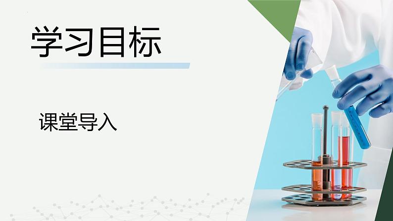 沪科版2020高一化学必修第一册 1.2.1+物质的量+阿伏加德罗常数（同步课件）03