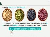 沪科版2020高一化学必修第一册 3.2+氮及其重要化合物（同步课件）
