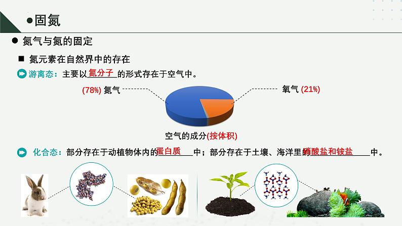 沪科版2020高一化学必修第一册 3.2+氮及其重要化合物（同步课件）07