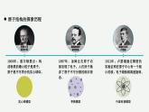 沪科版2020高一化学必修第一册 4.2+原子结构（同步课件）