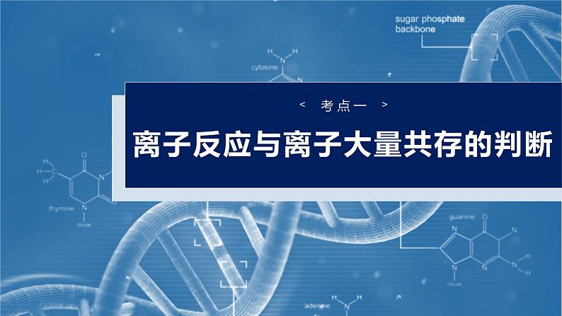 （人教版）高考化学一轮复习讲义课件第1章第2讲　离子反应　离子方程式（含解析）04