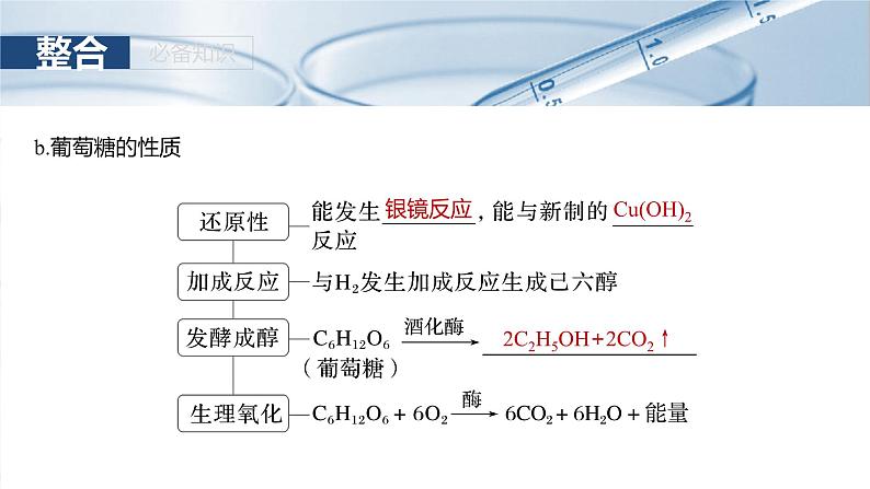 （人教版）高考化学一轮复习讲义课件第14章第66讲　生物大分子　合成高分子（含解析）08