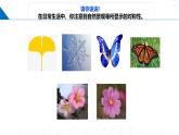 鲁科版2019高二化学选修二 2.2.3分子的空间结构与分子性质（课件）