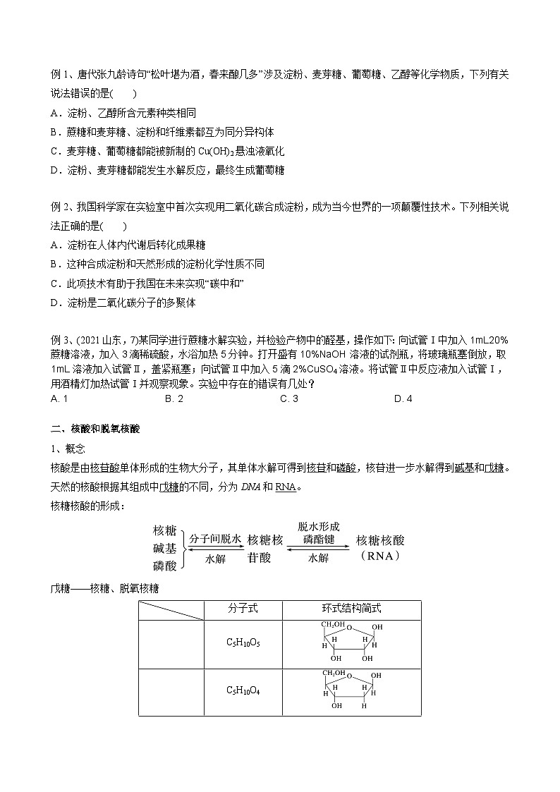高考化学一轮复习基础知识讲义专题二考点九 营养物质（2份打包，原卷版+解析版）02