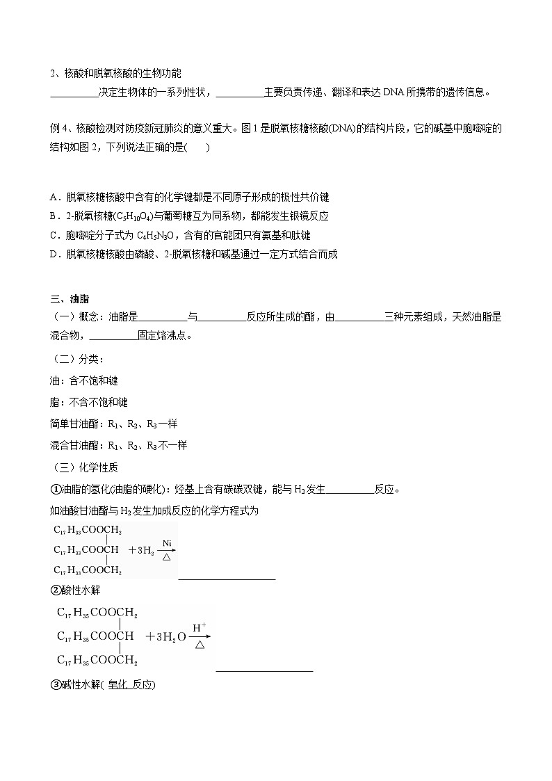高考化学一轮复习基础知识讲义专题二考点九 营养物质（2份打包，原卷版+解析版）03
