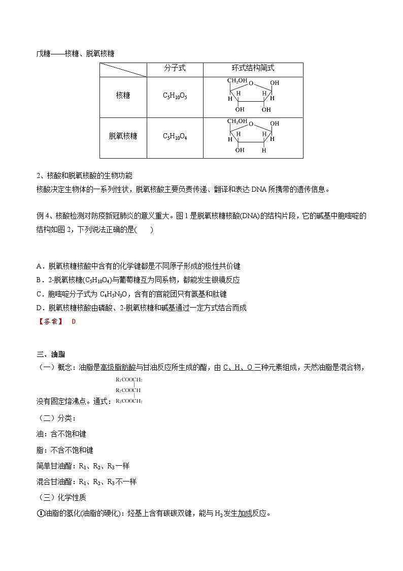 高考化学一轮复习基础知识讲义专题二考点九 营养物质（2份打包，原卷版+解析版）03