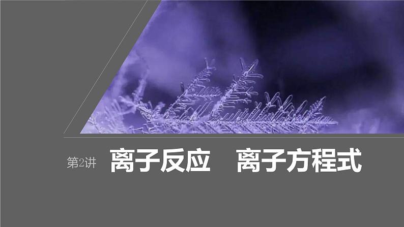 新高考化学一轮复习课件第1章 第2讲　离子反应　离子方程式（含解析）01