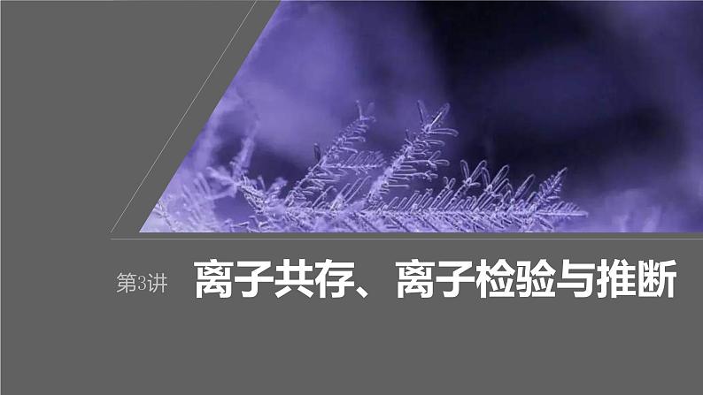 新高考化学一轮复习课件第1章 第3讲　离子共存、离子检验与推断（含解析）01