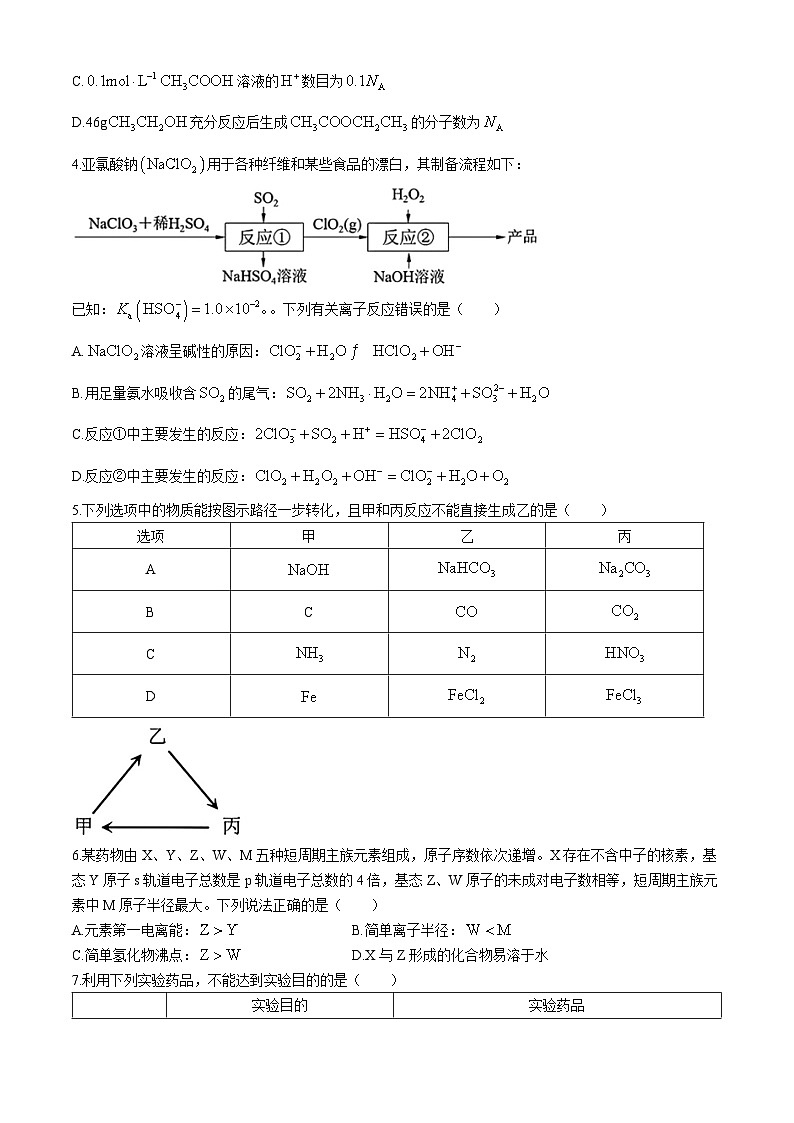 福建省泉州市2024-2025学年高三上学期8月开学考试化学试题（Word版附答案）第2页
