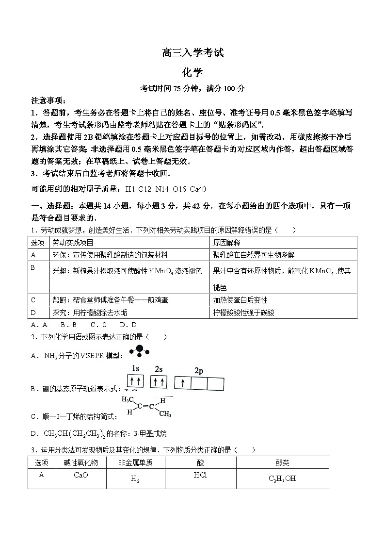 四川省成都市蓉城名校联考2024-2025学年高三上学期入学考试化学试题（含答案）01