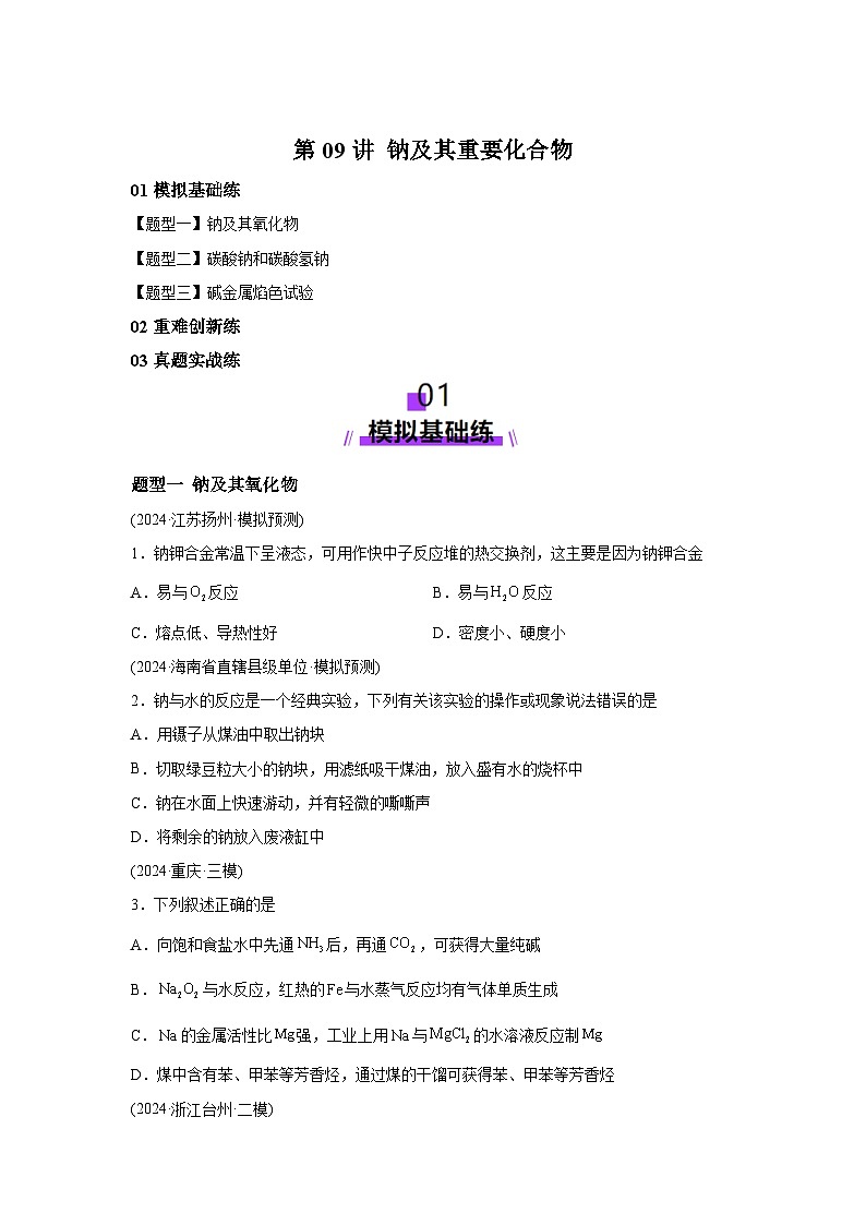 2025年高考化学一轮复习讲练测第01讲钠及其重要化合物（练习）（新教材新高考）含解析答案01