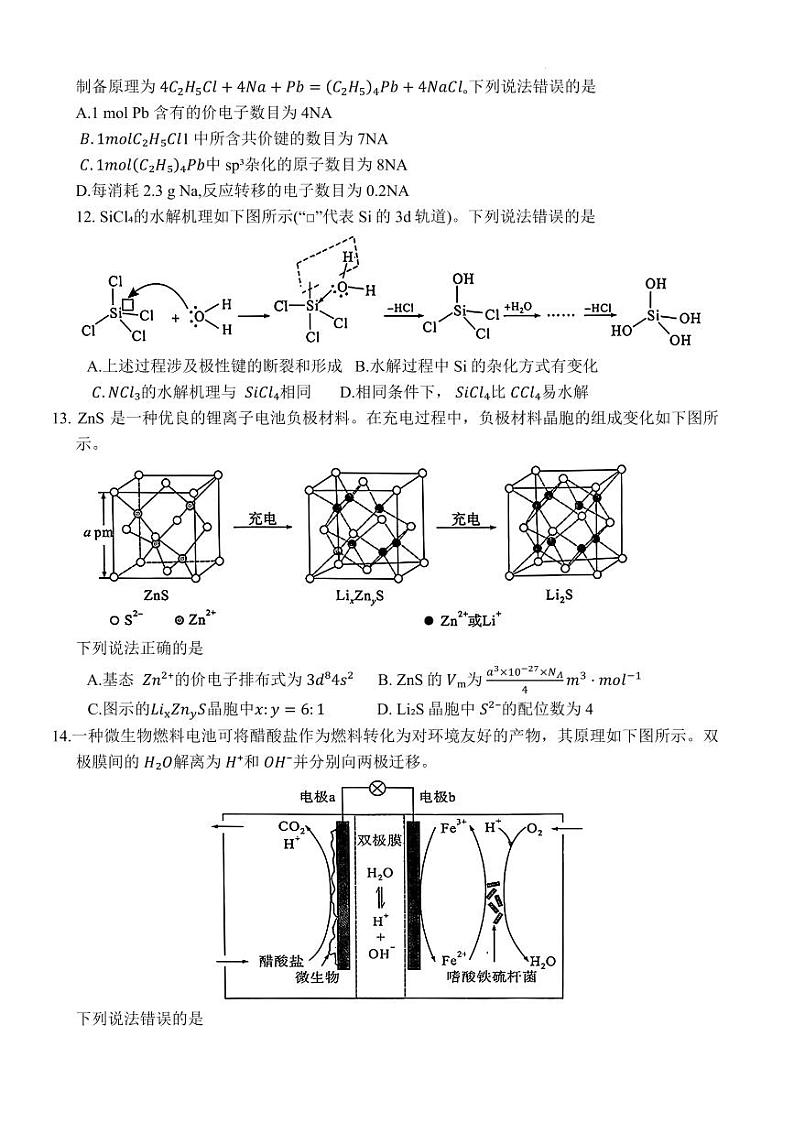 2025届湖北武汉市高三上学期9月第一次调研考试化学试题+答案03