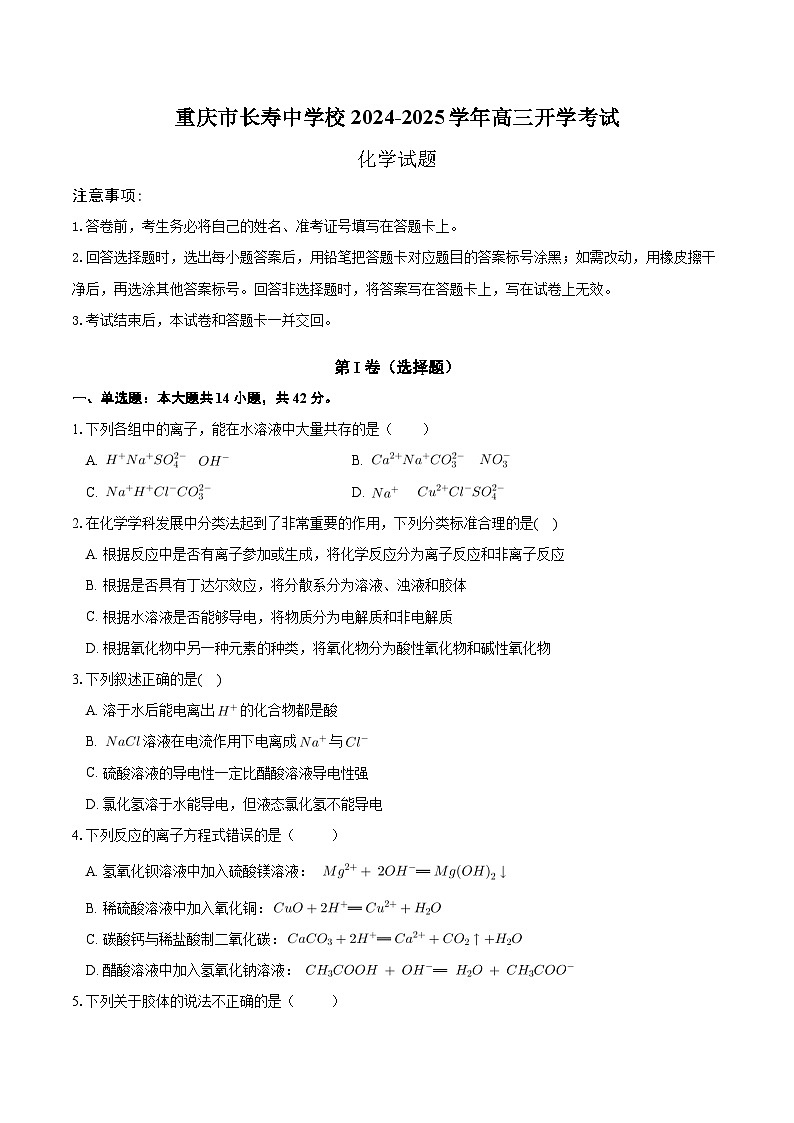 重庆市长寿中学校2024-2025学年高三上学期开学考试+化学试题01