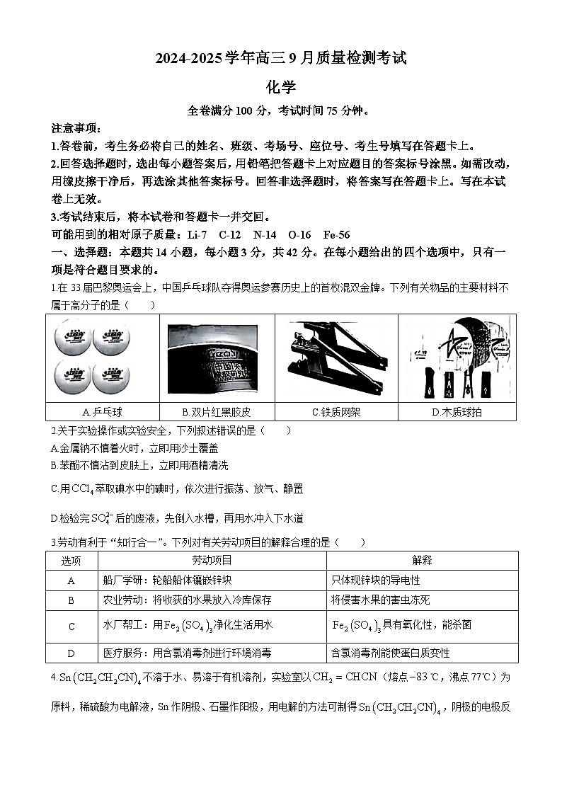 河南省濮阳市2024-2025学年高三上学期9月质量检测考试化学试卷（Word版附解析）01