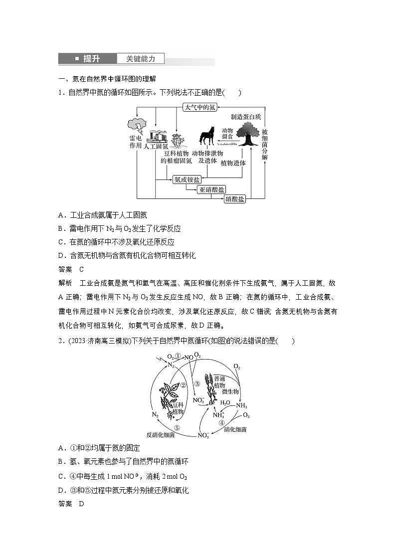 第5章　第22讲　氮及其氧化物　硝酸（含答案） 2025年高考化学大一轮复习全新方案 讲义03