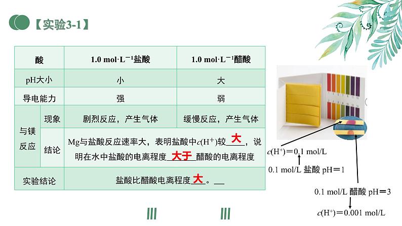 3.1电离平衡（教学课件）—高中化学人教版（2019）选择性必修1化学反应原理第5页