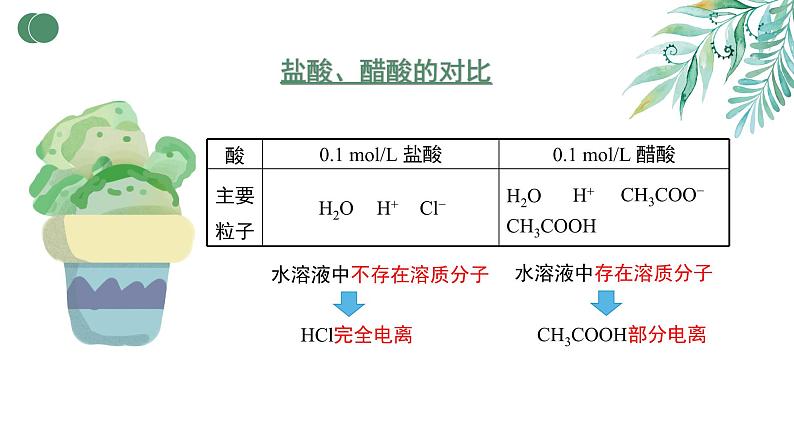 3.1电离平衡（教学课件）—高中化学人教版（2019）选择性必修1化学反应原理第6页