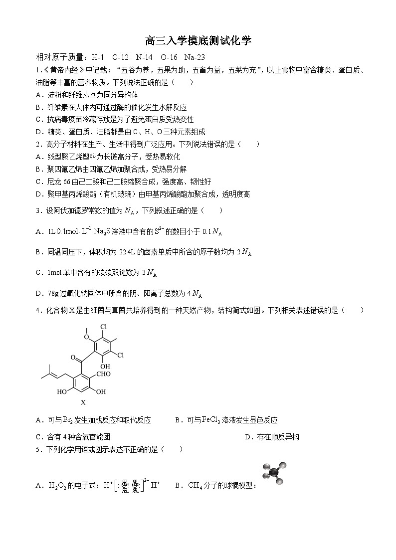 四川省成都列五中学2024-2025学年高三上学期入学摸底测试化学试卷（Word版附答案）01