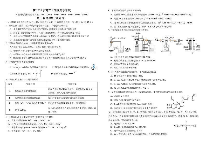 2025届四川成都树德中学高三上学期开学考试化学试题+答案01