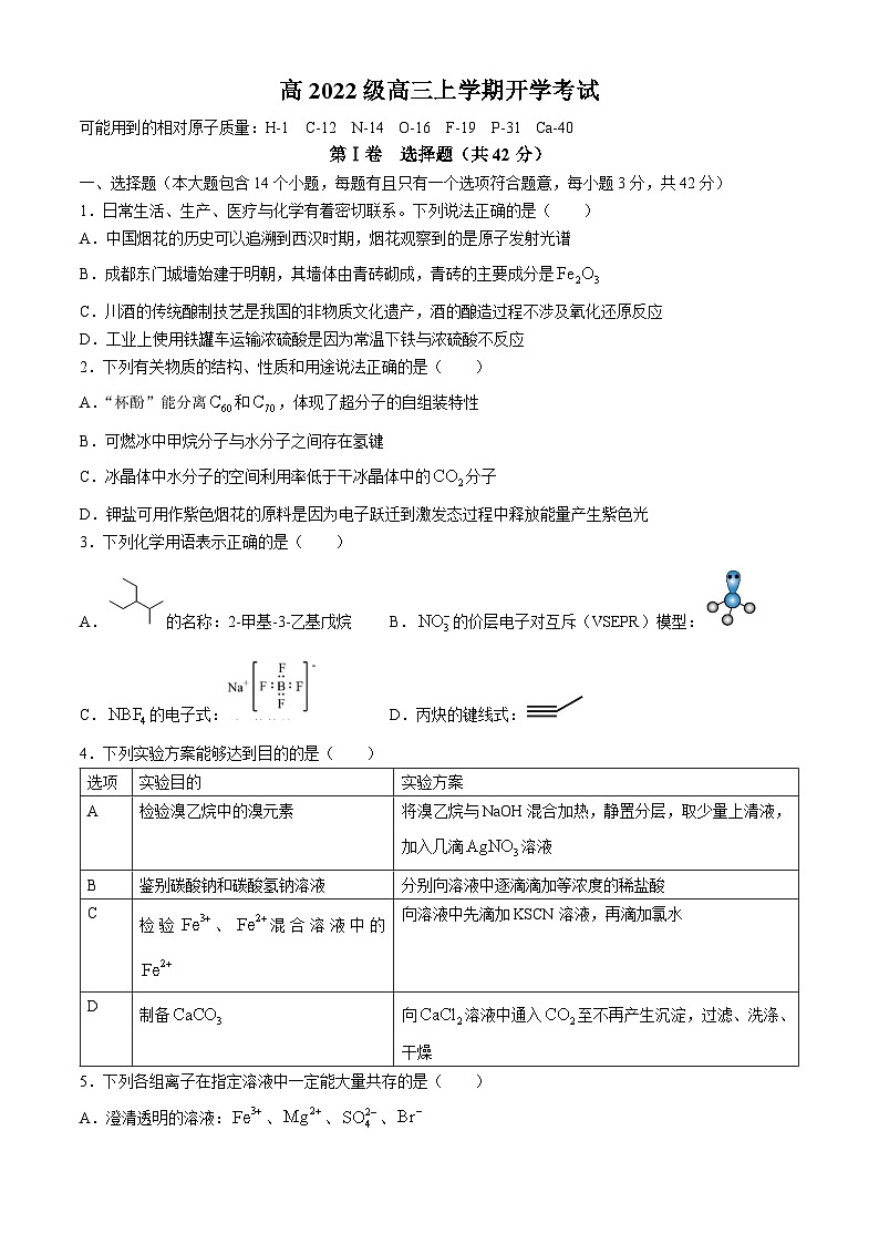 四川省成都市树德中学2024-2025学年高三上学期开学考试化学试题+第1页