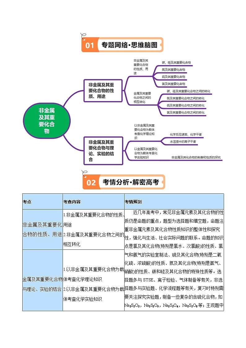 新高考化学二轮复习高频考点追踪练习专题06 非金属及其重要化合物（讲义）（解析版）第2页