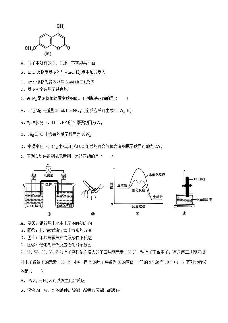 重庆市南开中学校2025届高三上学期开学第一次质量检测化学试题第2页