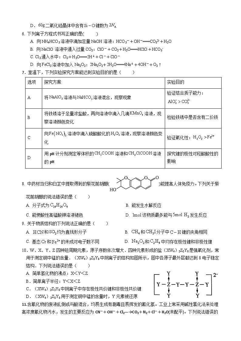 四川省广元中学2024-2025学年高三上学期第一次阶段性测试word（有答案）第2页
