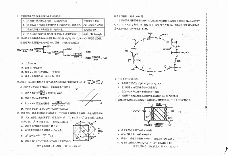 河北省唐山市2024-2025学年高三上学期开学考试化学试题02