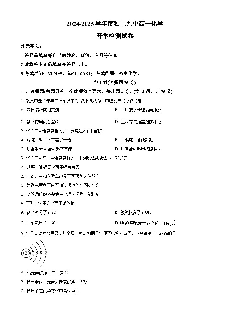 安徽省阜阳市颍上九中2024-2025学年高一上学期开学检测化学试卷（原卷版+解析版）01