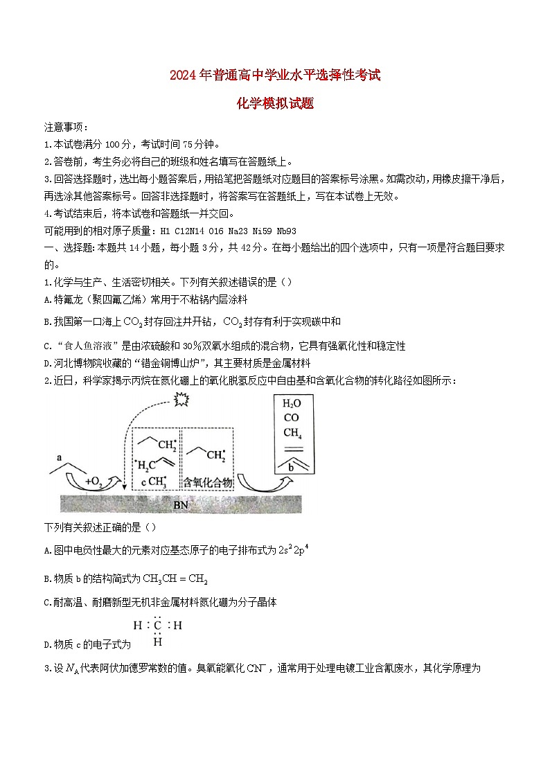 四川省成都市2023_2024学年高二化学上学期期末模拟试题无答案第1页