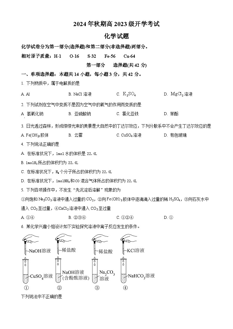 四川省泸州市泸县第五中学2024-2025学年高二上学期开学考试 化学试题 Word版无答案第1页