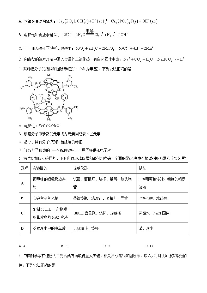 四川省绵阳中学2024-2025学年高三上学期开学考试化学试题（Word版附解析）02