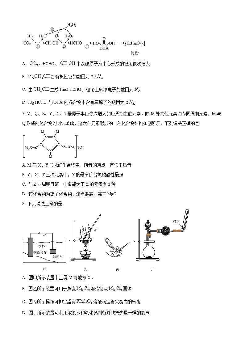 四川省绵阳中学2024-2025学年高三上学期开学考试化学试题（Word版附解析）03